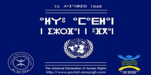 Universal Declaration of Human Rights amazigh