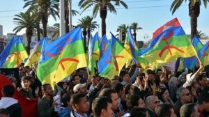 pretestation amazighe flag 16 9