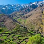 Autorité centrale et régime foncier dans les sociétés amazighes au Maroc